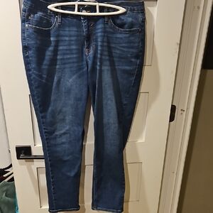 Vigoss Dark Blue Ankle Jeans
